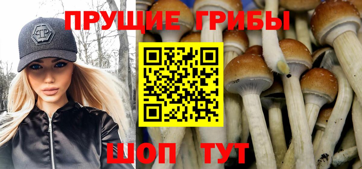 Коломна  Псилоцибиновые грибы мухоморы  Вход с VPN 