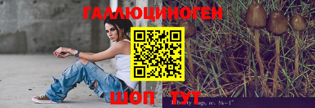 Псилоцибиновые грибы мицелий Коломна